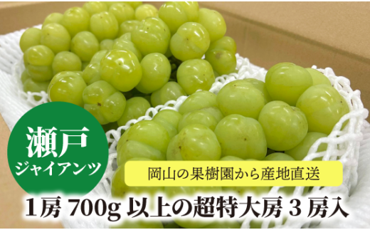 KF-B057【きよとうファーム】大きすぎて訳ありの瀬戸ジャイアンツ!特大3房/1房700g以上 (岡山県産)