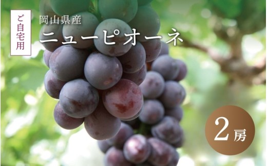 真庭市産 ニューピオーネ 自宅用 2房 /  (2025年8月中旬以降発送予定) ぶどう 自宅用 訳あり 岡山 真庭 ピオーネ 真庭市 大粒 葡萄 果物 フルーツ 産地直送 新鮮 濃厚 ピオーネ 人気 数量限定 お買い得 岡山名産 スイーツ 種なし 【配送不可地域:北海道/沖縄県/離島】  【pione04】