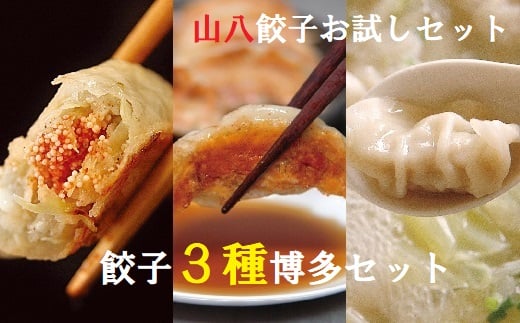 山八餃子お試しセット★餃子3種博多セット（博多明太子餃子・博多一口黒豚餃子・博多水餃子）計46個[F4430]