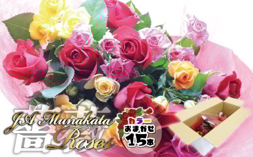 大切な人へのギフト、贈り物に！バラの花束ミックス15本[F2282]