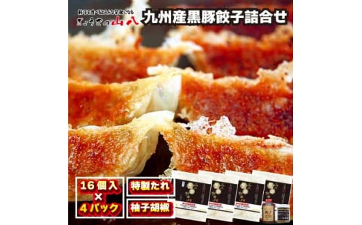 これぞ餃子!!　九州産黒豚餃子詰合せ　(福津の極み認定商品)＆自家製柚子胡椒[F3211]