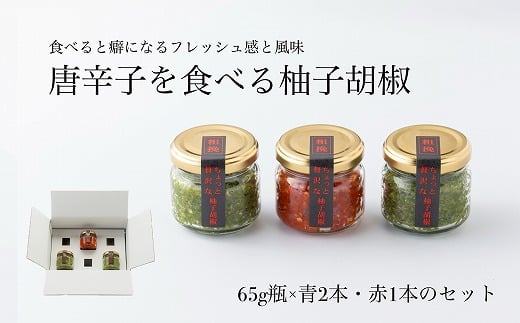 柚子胡椒65g瓶×赤青3本入り【創業40年の和食店が提供する】こだわり抜いた柚子胡椒[G4531]