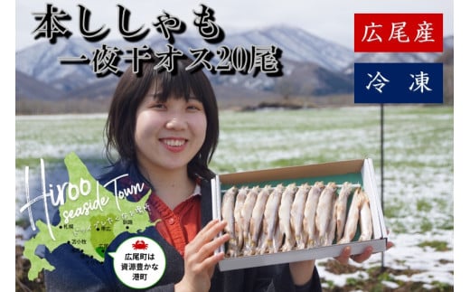 本ししゃも一夜干しオス20尾(0032)