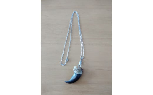 ヒグマの爪ペンダント(0025)