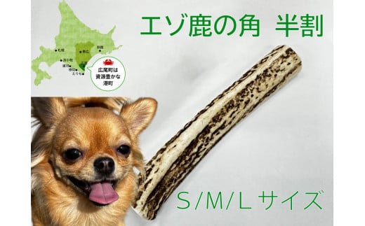天然素材を使用　エゾシカの角（犬用おもちゃ）Ｍサイズ（AL0002）
