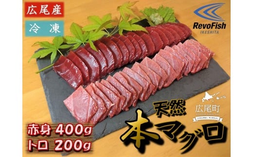 広尾産 本まぐろの刺し身（赤身400g、トロ200g）【まぐろ　国産　天然　本マグロ　黒マグロ　クロマグロ　黒まぐろ　冷凍】(AM0008)