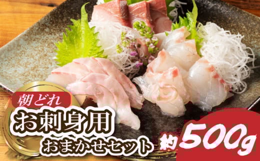お刺身 おまかせ 2~3種 約500g 盛り合わせ 刺身 刺し身 国産 鯛 ブリ マグロ ヒラマサ カンパチ シマアジ ヒラメ 新鮮 魚 魚介 海鮮 海鮮丼 三重県 南伊勢町 伊勢 志摩 城水産 15000円以下 一万五千円以下