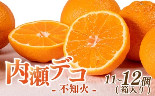 先行予約 不知火 11~12個 数量限定 期間限定 内瀬デコ アサヒ農園 しらぬい 柑橘 みかん 蜜柑 フルーツ 果物 くだもの 贈答用 贈答品 贈答 ギフト プレゼント 国産 ブランド 三重県 伊勢 志摩 南伊勢町 20000円 2万円
