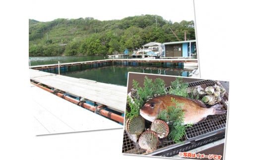 釣り チケット 5名 貸し切り お土産 付き 城水産 釣堀 釣り堀 魚釣り つり フィッシング 筏釣り 観光 旅行 アクティビティ 家族 子供 子ども 利用券 体験 鯛 たい 魚 魚介 海鮮 海産物 海 刺し身 三重 南伊勢 伊勢志摩