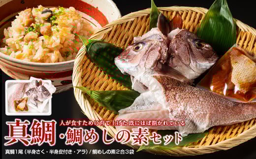 (冷蔵) 人が食すために育てられほぼ捌かれている 真鯛・鯛めしの素 セット / 友栄水産 鯛 真鯛 鯛めし お刺身 炙り 塩焼き 煮つけ 伊勢志摩 三重県 南伊勢町