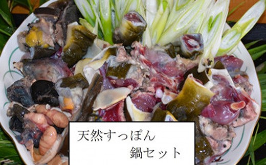 天然すっぽん鍋【2～3人前】【福岡県 筑前町 九州 お取り寄せ グルメ 食品 天然 すっぽん 鍋 すっぽん鍋 コラーゲン 送料無料 AE006】