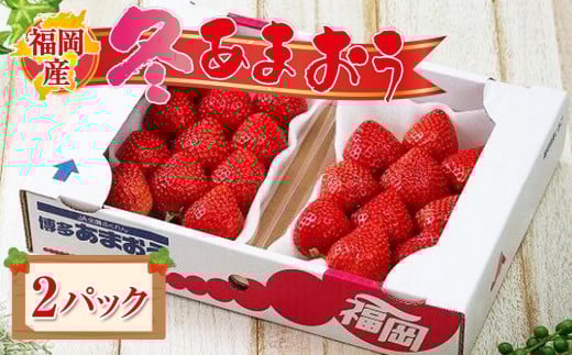 【先行予約 2025年12月上旬以降発送】福岡産あまおう 2パック【あまおう いちご イチゴ 苺 フルーツ くだもの 福岡県産 博多あまおう 福岡あまおう ブランド 果物 食品 人気 おすすめ ギフト 贈答 福岡県 筑前町 DX005】