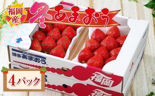 【先行予約 2025年12月上旬以降発送】福岡産あまおう 4パック【あまおう いちご イチゴ 苺 フルーツ くだもの 福岡県産 博多あまおう 福岡あまおう ブランド 果物 食品 人気 おすすめ ギフト 贈答 福岡県 筑前町 DX006】