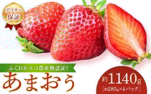 【先行予約 2026年1月以降発送】ふくおかエコ農産物認証!! あまおう 約1140g 約285g×4パック【 いちご 苺 イチゴ フルーツ 果物 福岡県産 あまおう 大粒 人気 あまおう 認証あまおう 福岡県あまおう 福岡県 筑前町 送料無料 DG001】