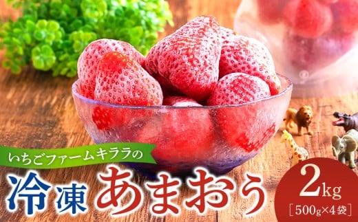 いちごファームキララの冷凍あまおう 2kg(500g×4袋)【冷凍 甘い 濃厚 新鮮 いちご 冷凍あまおう いちご 果物 アレンジ おやつ フルーツ スイーツ スムージー ジャム アイス けずり苺 お取り寄せ お取り寄せグルメ 福岡県 筑前町 送料無料  DG004】