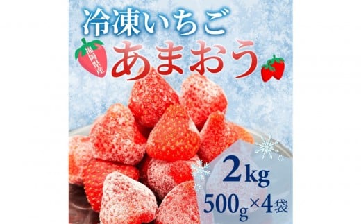 【福岡スイーツ自然の贈り物】かわいい化粧箱入り!福岡県産冷凍あまおう合計2kg(500g×4袋)【あまおう いちご イチゴ 冷凍あまおう 冷凍いちご 果物 スイーツ 福岡県産 あまおう スムージー ヨーグルト アイス お菓子 デザート 贈り物 贈答 ギフト 筑前町 ふるさと納税 送料無料 FR016】