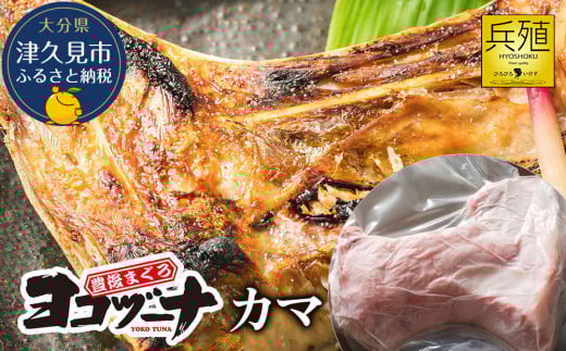 豊後まぐろ ヨコヅーナ 【カマ】 　本鮪 本マグロ かま 海鮮丼 希少部位 カマトロ 刺し身 BBQ 塩焼き 煮つけ 冷凍 漬け丼 大分県産 九州産 津久見市 国産