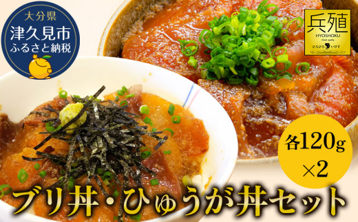 ブリ丼・ひゅうが丼セット 各120g×2  ひろびろいけすぶり 豊後まぐろ ヨコヅーナ  本鮪 本マグロ 海鮮丼 刺し身 盛り合わせ 冷凍 新鮮 漬け丼 大分県産 九州産 津久見市 国産