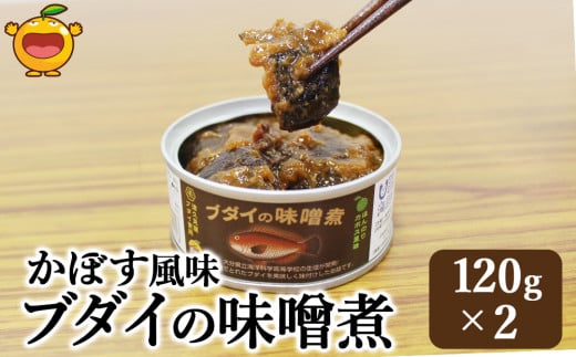 かぼす風味 ブダイの味噌煮 120g×2 缶詰 加工品 珍味 非常食 防災 常温保存 備蓄 キャンプ飯 アウトドア かぼす 魚 煮つけ 大分県産 九州産 津久見市