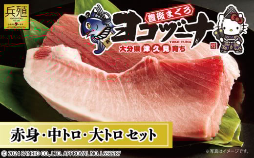 豊後まぐろ ヨコヅーナ 贅沢セット 赤身250g 中トロ500g 大トロ250g入りの豪華セット 　本マグロ　本鮪　大分県産 九州産 津久見市