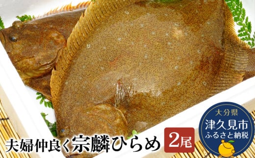 夫婦仲良く宗麟ひらめ  ヒラメ 平目 鮃 刺身 刺し身 生魚 新鮮 大分県産 九州産 津久見市 国産