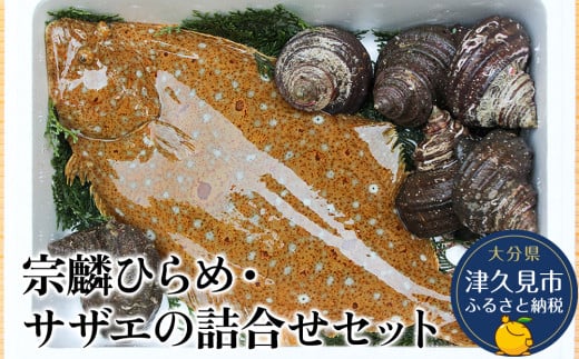 宗麟ひらめ・サザエの詰合せセット  ヒラメ 平目 鮃 刺身 刺し身 生魚 新鮮 大分県産 九州産 津久見市 国産