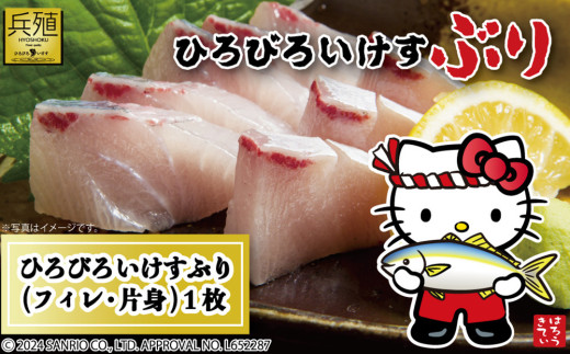 【先行予約】ひろびろいけすぶり(フィレ・片身)1枚 ※2月発送 ぶり 鰤 刺し身 刺身 鰤 大分県産 九州産 津久見市 国産