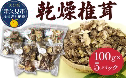 乾燥椎茸 訳あり 椎茸100g×5パック 干し椎茸 しいたけ 乾燥しいたけ 原木 大分県 津久見市 九州産野菜