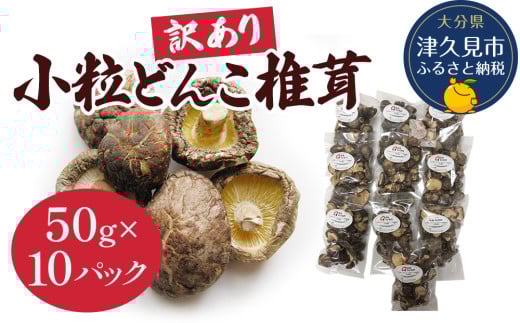 乾燥椎茸 国産 訳あり 小粒どんこ 50g×10パック 乾燥 しいたけ 干し椎茸 乾し椎茸 乾燥野菜 大分県 津久見市 九州産野菜