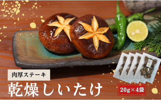 大分県産 しいたけ 津久見で育てた肉厚ステーキ用乾燥しいたけ 20g×4袋　|　津久見市 干し椎茸 菌床しいたけ きのこ 国産 産地直送