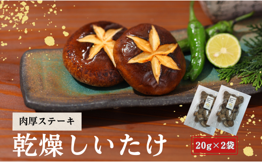 大分県産 しいたけ 津久見で育てた肉厚ステーキ用乾燥しいたけ 20g×2袋　|　津久見市 干し椎茸 菌床しいたけ きのこ 国産 産地直送