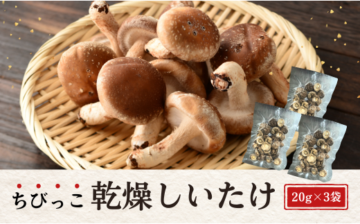 大分県産 しいたけ 津久見で育てたちびっこ乾燥しいたけ 20g×3袋 　|　津久見市 干し椎茸 菌床しいたけ きのこ 小粒 国産 産地直送