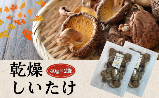 大分県産 しいたけ 津久見で育てた肉厚乾燥しいたけ 40g×2袋　|　津久見市 干し椎茸 菌床しいたけ きのこ 国産 産地直送