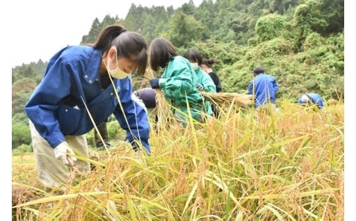 ５　しごと・産業に関する事業