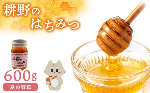 耕野のはちみつ『夏の野草』600g×1本 宮城県 丸森町 丸森 はちみつ 蜂蜜 国産 夏の野草 純粋  無添加 ハニー honey 600g 健康 美容　ふるさと納税【21113】
