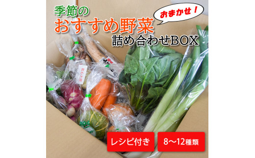 季節のおすすめ野菜おまかせ詰め合わせBOX 8種〜12種類 通常サイズ 野菜セット 15000円【16101】