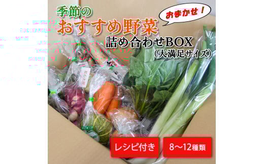 季節のおすすめ野菜おまかせ詰め合わせBOX 8種~12種類 大満足サイズ 野菜セット【16102】