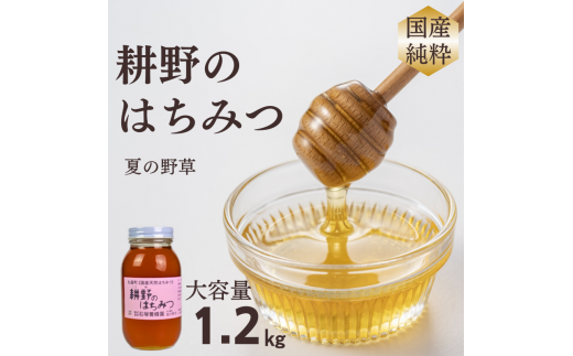 訳あり！大容量サイズ！　丸森町　耕野のはちみつ『夏の野草』1200g×1本 ｜はちみつ 蜂蜜 国産 純粋 無添加 ハニー honey 訳あり 大容量 業務用 1.2kg 1200g 健康 美容【2101102】
