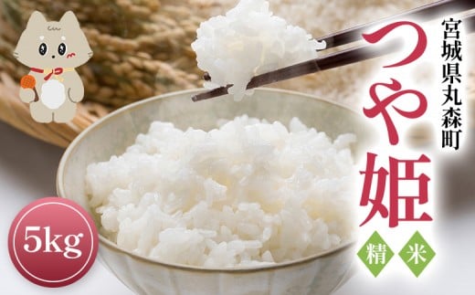 令和7年産 宮城県丸森町 つや姫 精米 ５ｋｇ | ふるさと納税 宮城県 丸森町 丸森 つや姫 白米 精米 5kg 宮城米 米袋 銘柄 ブランド米 美味しい 米 弁当 おにぎり おむすび お取り寄せ ワンストップ マイページ【5400101】