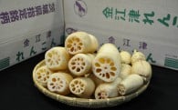 特産品の育成及び地域産業の振興に関する事業