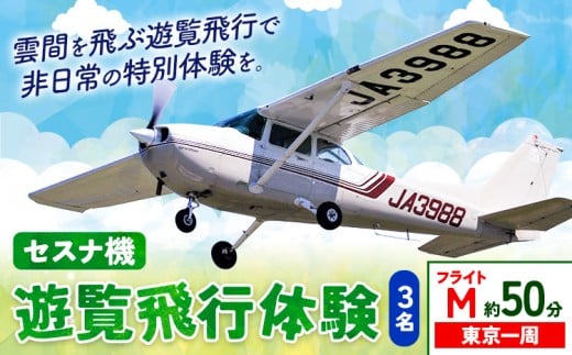 セスナ機遊覧飛行体験 3名 フライトM(約50分コース) 新中央航空株式会社《30日以内に出荷予定(土日祝除く)》茨城県 河内町 セスナ 飛行体験