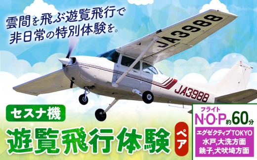 セスナ機遊覧飛行体験 ペア フライトN・O・P(約60分コース) 新中央航空株式会社《30日以内に出荷予定(土日祝除く)》茨城県 河内町 セスナ 飛行体験