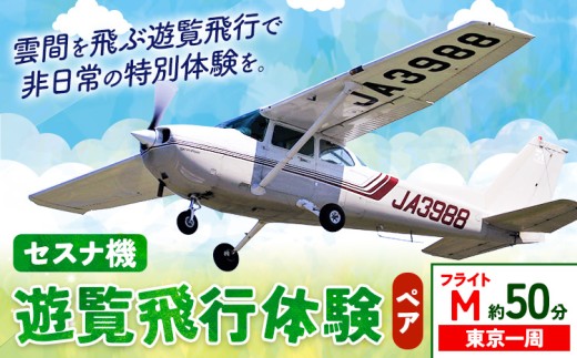 セスナ機遊覧飛行体験 ペア フライトM(約50分コース) 新中央航空株式会社《30日以内に出荷予定(土日祝除く)》茨城県 河内町 セスナ 飛行体験