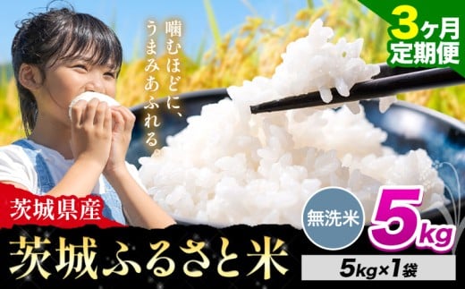 【3か月定期便】米 茨城 ふるさと米 無洗米 5kg《申込月の翌々月より出荷開始》茨城県 河内町 米 国産 お米 おこめ お弁当 おにぎり
