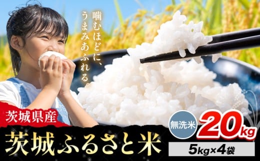 米 茨城 ふるさと米 無洗米 20kg《11月中旬から12月末頃出荷》茨城県 河内町 米 国産 お米 おこめ お弁当 おにぎり