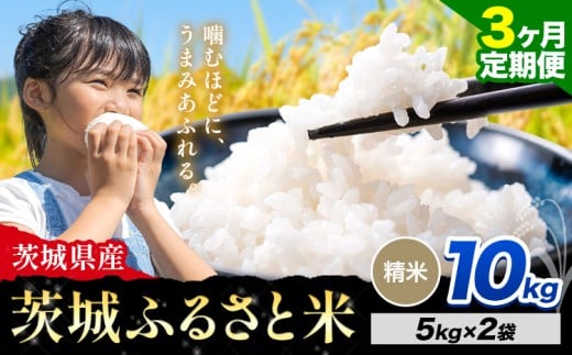 【3か月定期便】米 茨城 ふるさと米 精米 10kg《申込月の翌々月より出荷開始》茨城県 河内町 米 国産 お米 おこめ お弁当 おにぎり