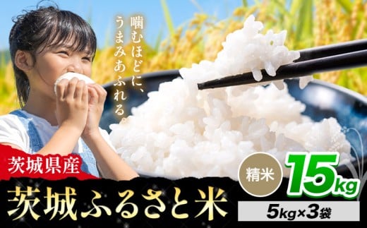米 茨城 ふるさと米 精米 15kg《10月下旬-11月末頃出荷》茨城県 河内町 米 国産 お米 おこめ お弁当 おにぎり