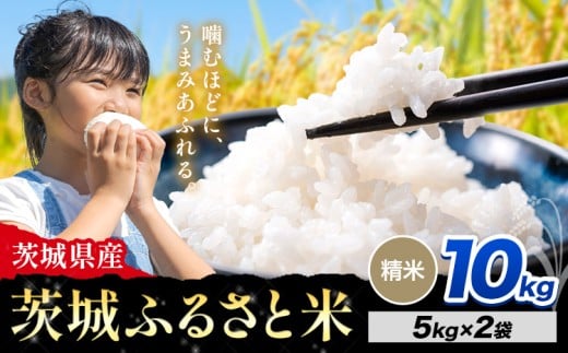 米 茨城 ふるさと米 精米 10kg《11月中旬から12月末頃出荷》茨城県 河内町 米 国産 お米 おこめ お弁当 おにぎり