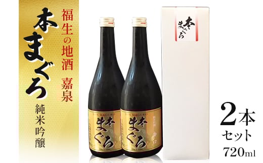 福生の地酒 嘉泉 純米吟醸 本まぐろ 720ml 2本セット【1624825】