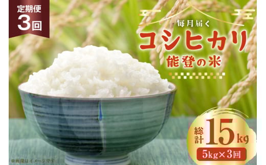 米 定期便 令和7年度産 3回 コシヒカリ 精米 5kg 計15kg [YUファーム 石川県 志賀町 CL5002] ご飯 お米 コメ 白米 こしひかり 能登 おこめ こめ 定期